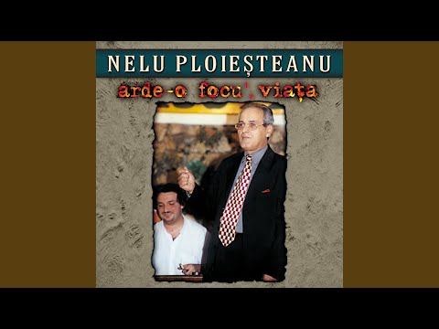 I-auzi câinii cum se dă