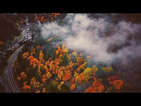 California Fall Colors: Plumas County 2017 Aerial Video