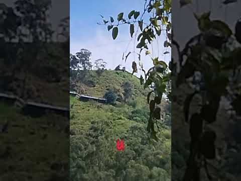 COPACABANA, ANTIOQUIA, COLOMBIA.