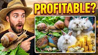 9 Most Profitable Livestock You Might not Think of