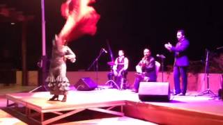 Ricardo Garcia's Flamenco Flow