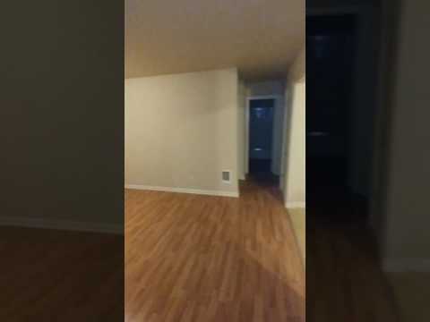 Bella Courtyard MEN5025 - Video 2 of 2