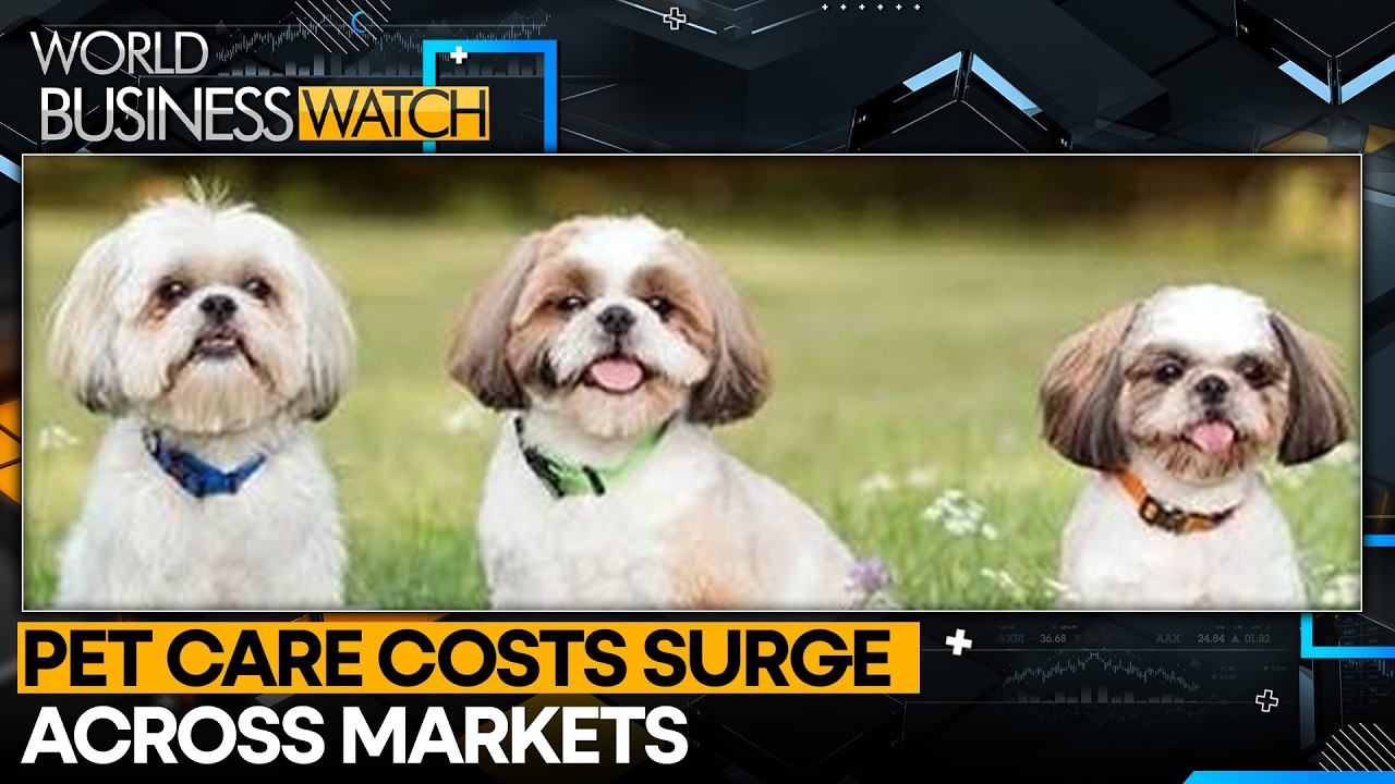 How Much Does Pet Care Cost in Singapore? | WION World Business Watch