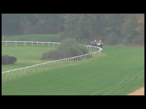 KV, 28. 9. 2017, 2. dostih - Cena společnosti ACCOR