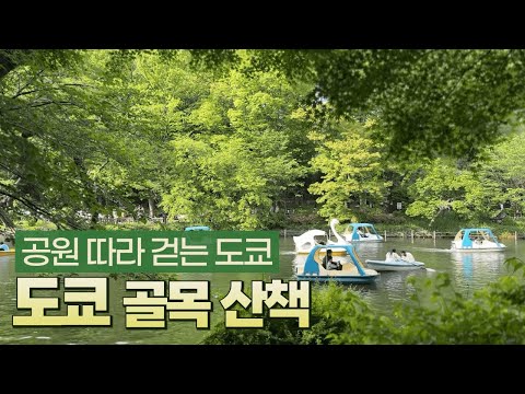 도쿄의 숨겨진 매력 발견하기: 대표 공원과 매력적인 동네 탐방