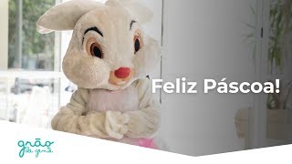 PÁSCOA GRÃO DE GENTE! É TEMPO DE RENOVAR OS SONHOS!