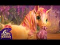 Back To The WILD Is Baby Unicorn Ready ️Foals Part 3 Unicorn Academy Original Kids Cartoon