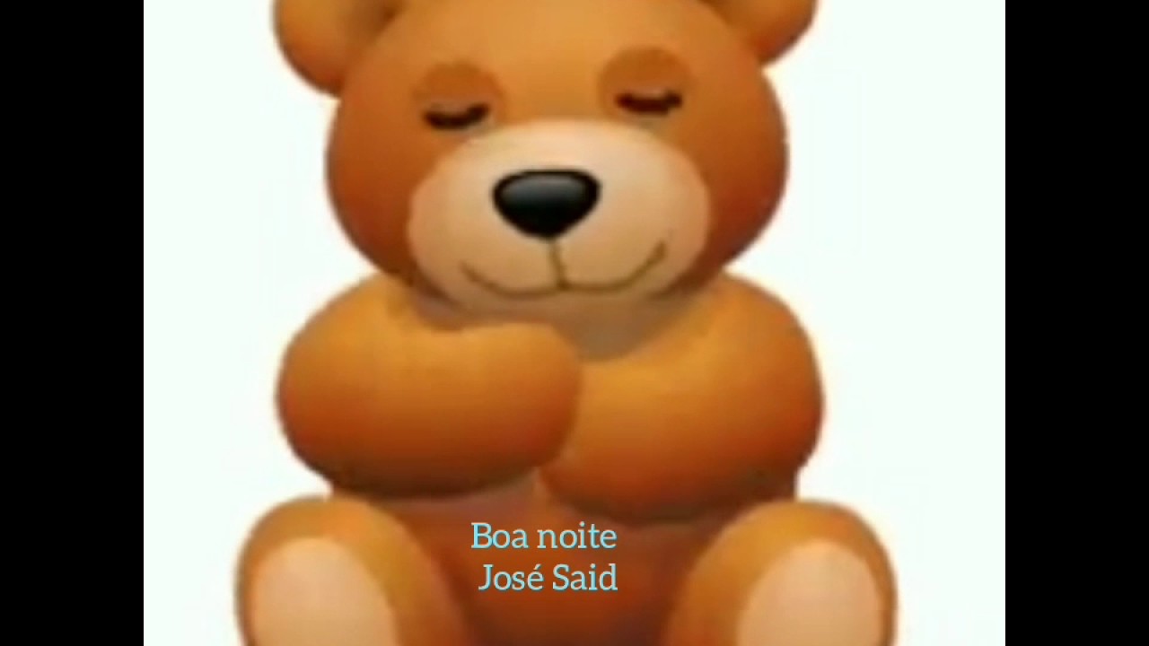Boa noite urso
