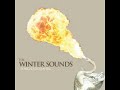 01 •  The Winter Sounds - Gone to Save Mankind, Oblivion & Sad Reminders  (Demo Length Versions)