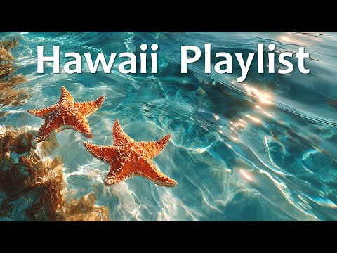 Relaxing Hawaiian Music | Peaceful Ukulele & Reggae Playlist 🐬