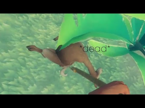 Killing one animal in raft