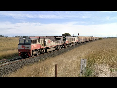 SCT 1PM9 Boxcars & Shipping Containers (28/4/2021) - PoathTV Australian Trains & Railways