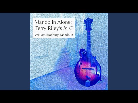 Mandolin Alone: Terry Riley's In C