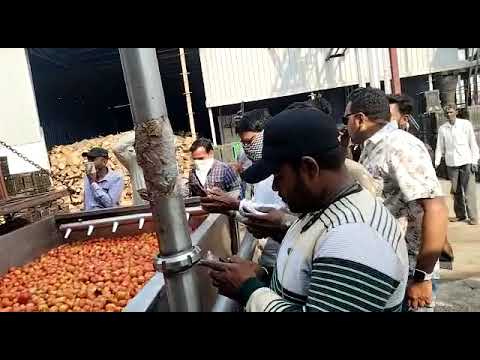 Tomato ketchup Factory 🍅#Tomatosos