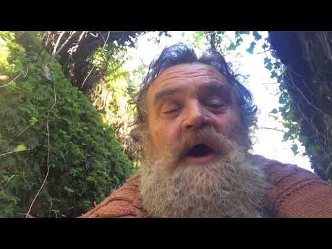 🔵 Forego and Forgo Foregone or Forgone Forewent Vs Forwent The Difference Explained