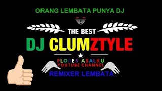 Download lagu LAGU REQUEST DJ INDIA CLUMZTYLE mp3
