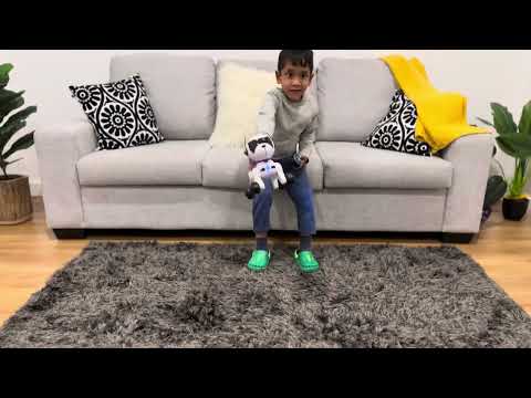 Kmart Robot Dog review