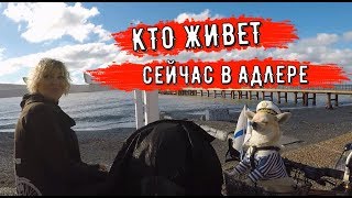 🔴🔴 Адлер.КТО ЖИВЕТ ЗИМОЙ И КАК ВЫГЛЯДИТ Адлер ? Отдых в Сочи Адлер. Набережная и пляж в Сочи