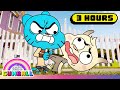 Who S The Real Gumball Gumball Cartoon Network