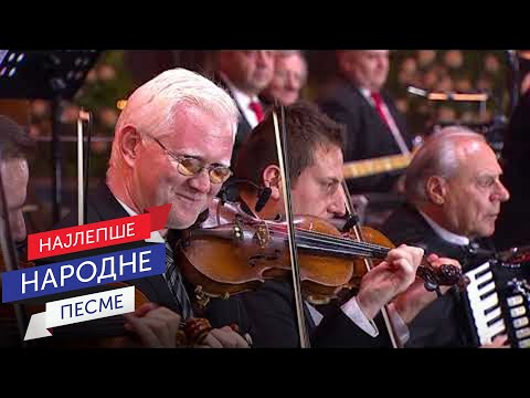 Narodni orkestar pod upravom Vlade Panovića - Koloplet | Tašmajdan 2024 (Live)