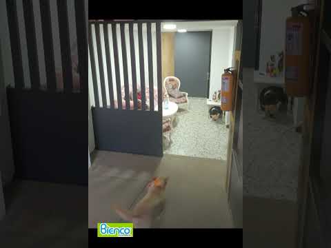 Casas, Venta, Pereira - $1.200.000.000