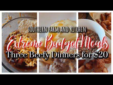 EXTREME Budget Challenge / What's For Dinner? /...