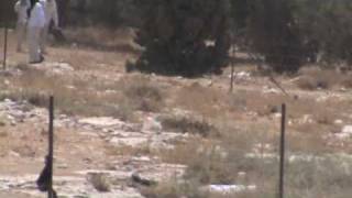 preview picture of video 'Coloni israeliani mascherati attaccano il villaggio palestinese di At-Tuwani'