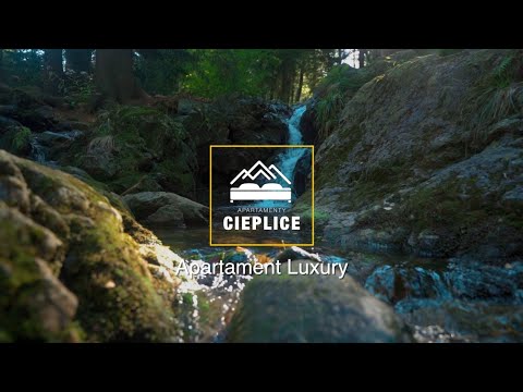 Apartament w Cieplicach Luxury