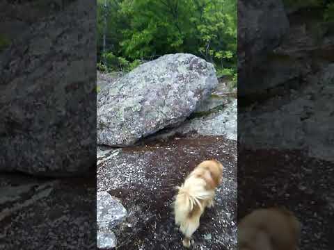 Vladicin Han selo Repiste