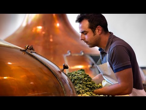 Chemistry of Beer - Unit 1 - Overview of Brewing