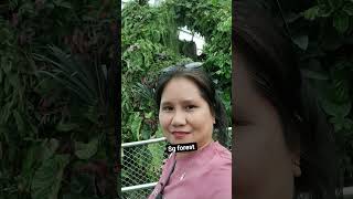 Download lagu Singapore flowers dom #ofwlife #sgflorest #singaporegarden mp3