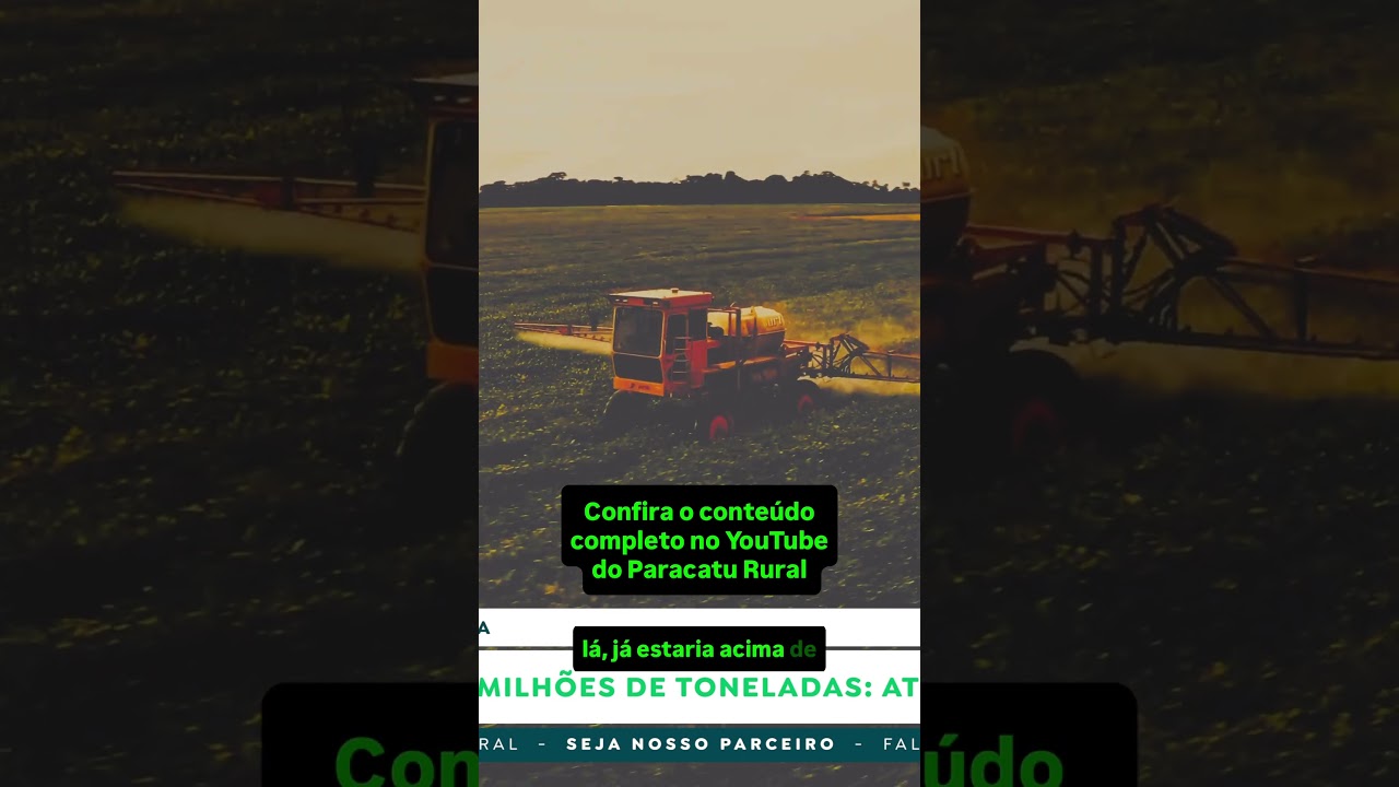 Soja fatura R$26 Bilhões em um Mês; Milho Forte e Surpresa no Sorgo.
