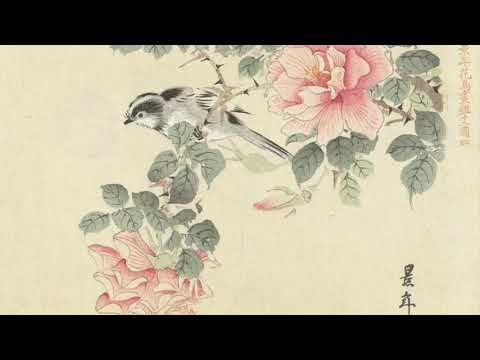 Luca Young - For Rose