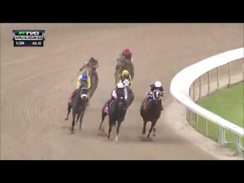RACE REPLAY: 2016 Apple Blossom Handicap