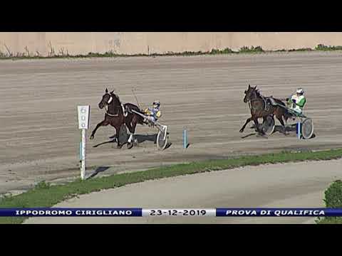 Aversa trotto 23 Dicembre 2019 - Prova di qualifica