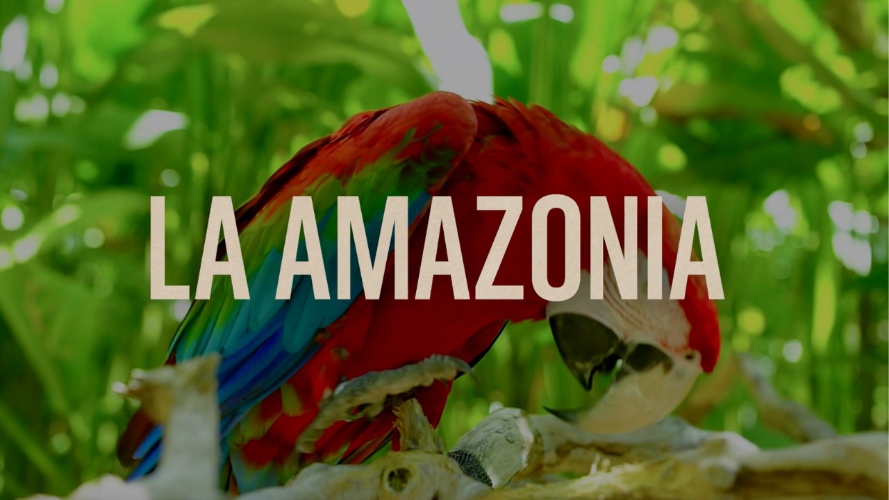 ¡ÚNETE A LA LIGA PARA DEFENDER LA AMAZONÍA! #AmazonLeague