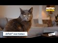 Zo geeft u de AdTab kauwtablet aan uw kat!