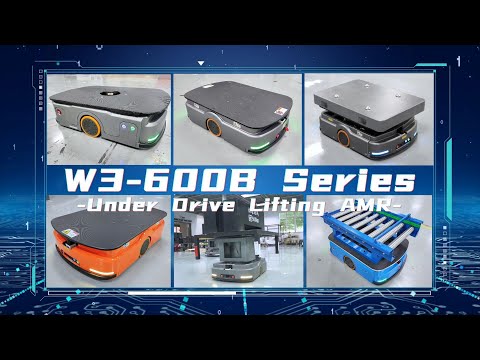 W3-600B video