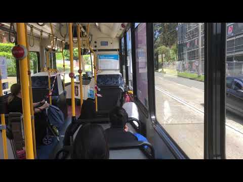 Transit Systems Sydney 2551 ST • Scania K280UB • ZF Ecolife.