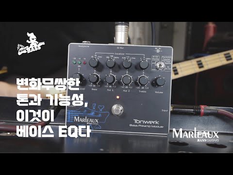 짤막소개말로우 Marleaux   톤워크 Tonwerk 베이스 아웃보드 EQ bass outboard