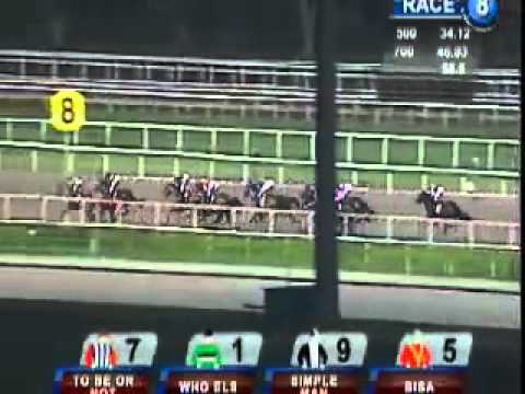 20101008 SG CLASS 5 1700M (POLYTRACK) - JOYLUCK (V Duric)