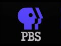 The Destruction Of The PBS 1984 Logo