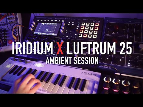 Ambient with Waldorf Iridium x Luftrum 25