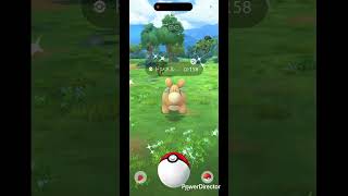 ドンメル色違い✨ #pokemon #ポケgo #pokemongo #ポケモン #pokémon