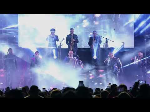 El perro, el gato y yo - Junior Klan