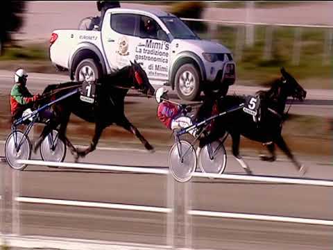 Trotto 08/02/2019 - 1ª corsa