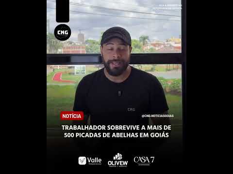 Trabalhador sobrevive a mais de 500 picadas de abelha em Goiás