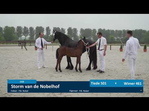 Fokdag Zeeland &#8211; Het Friesche paard Zuid-Nederland 26-06-2021