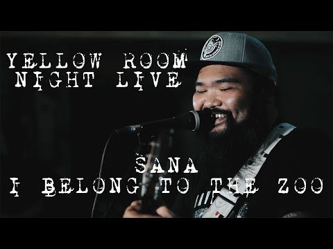 Sana - I Belong to the Zoo (Live at Saguijo) | Yellow Room Night Live