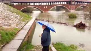 preview picture of video 'Pavia Fiume Ticino pericolo esondazione 2014'